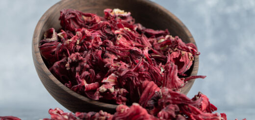 Fascinatia florilor de Jamaica ( Hibiscus )